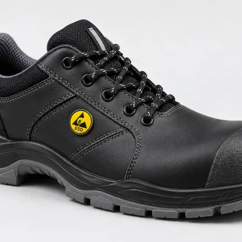 ESD safety shoe